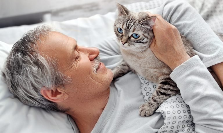 Female Cat in Heat Attracted To Male Human