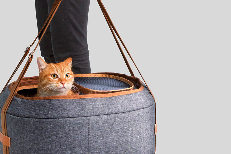 Best Top Loading Cat Carriers