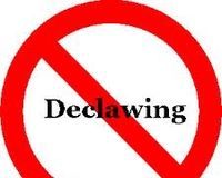 States Where Declawing Is Illegal
