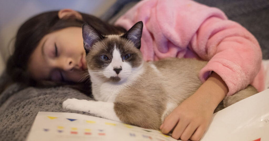 Do Cats Protect You While You Sleep?