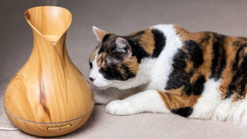 Is Vanilla Essential Oil Safe For Cats?