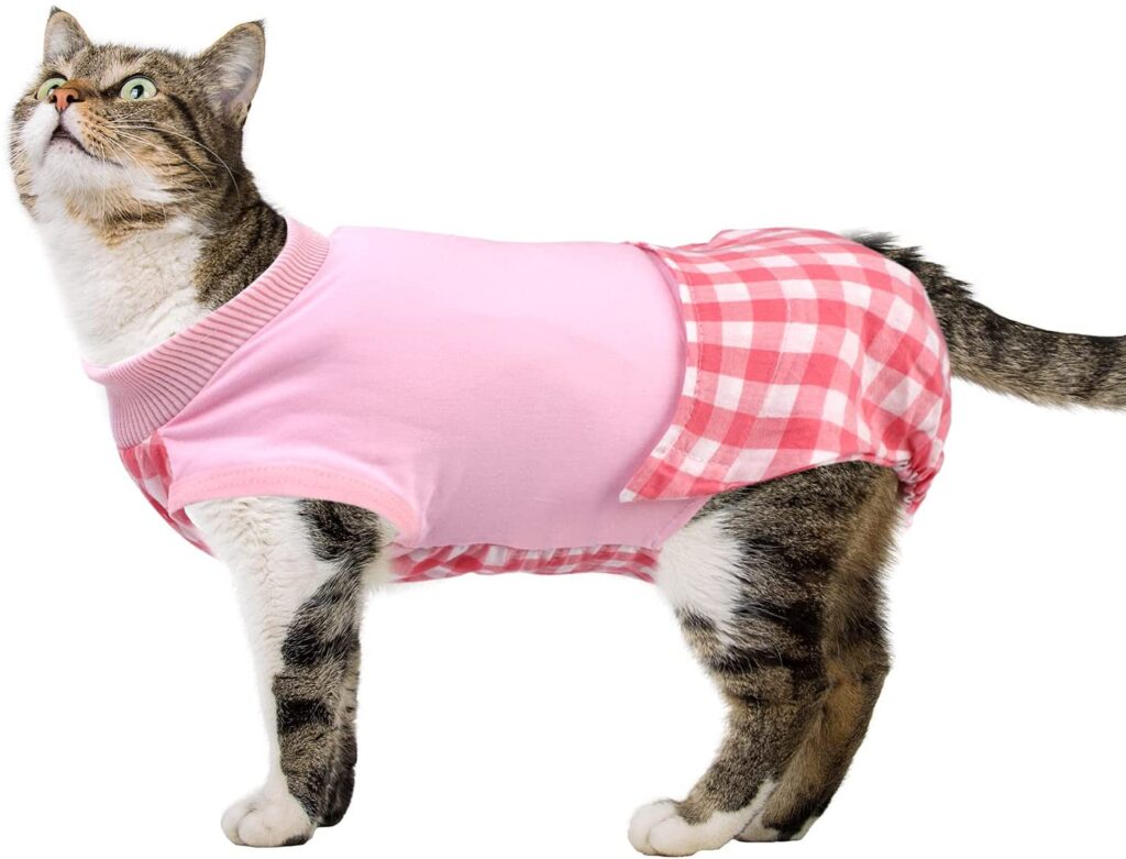 Best Recovery Suit for Cats