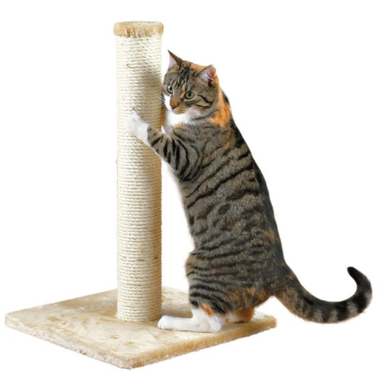 10 Cat Scratchers that Dull Claws Kitty Devotees