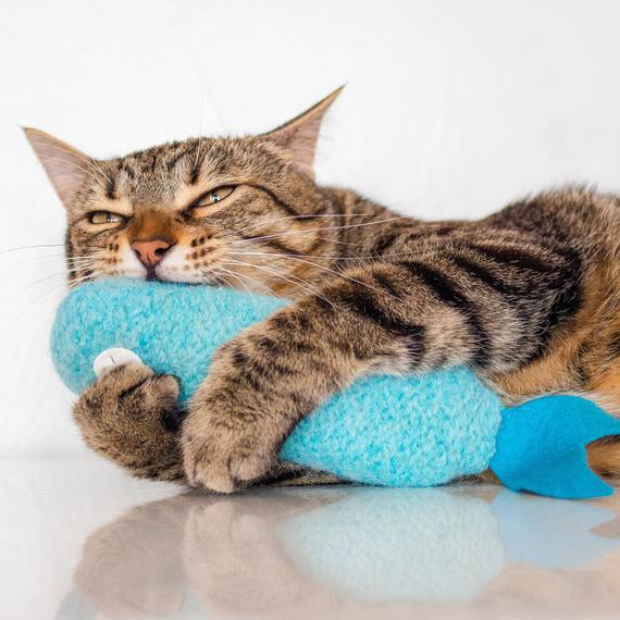 Refillable Catnip Toys for Cats