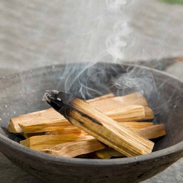 Is Palo Santo Safe for Cats?