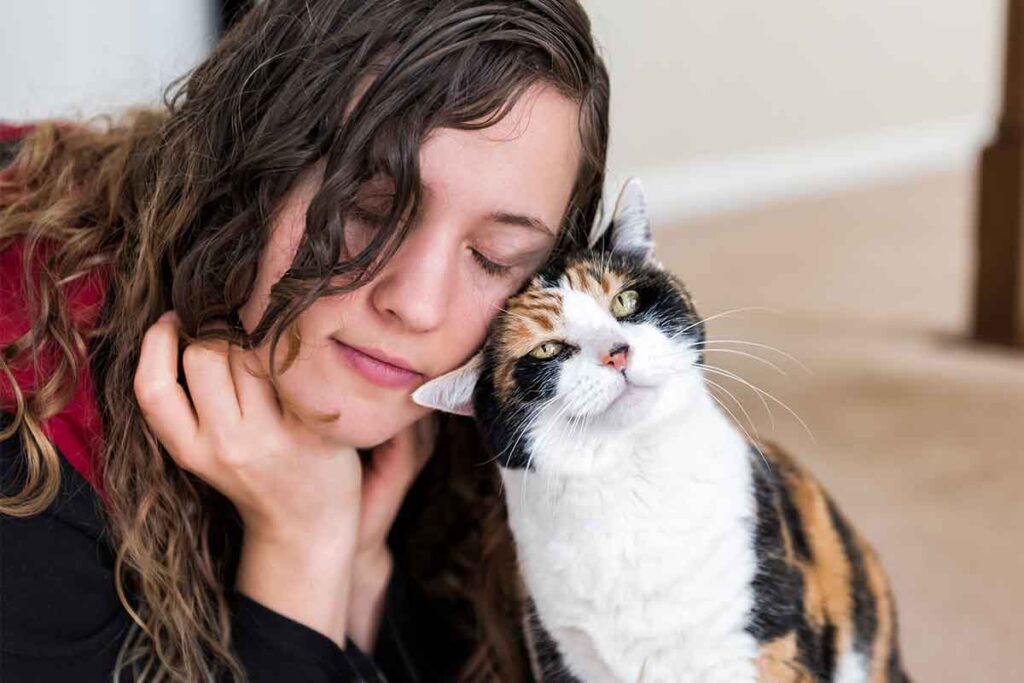 Can Cats Sense Depression and Anxiety? - Kitty Devotees