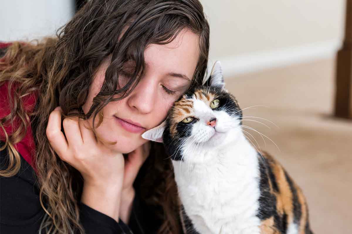 Can Cats Sense Depression and Anxiety?