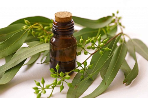 Safe Alternatives for Eucalyptus Oil