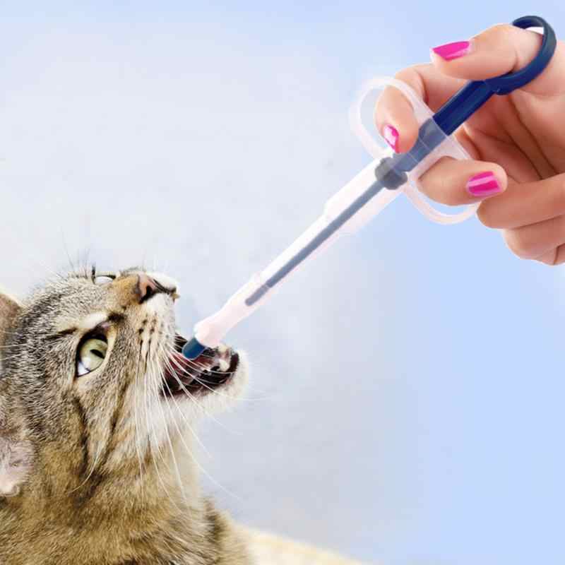 How Much Water To Syringe Feed A Cat? Kitty Devotees