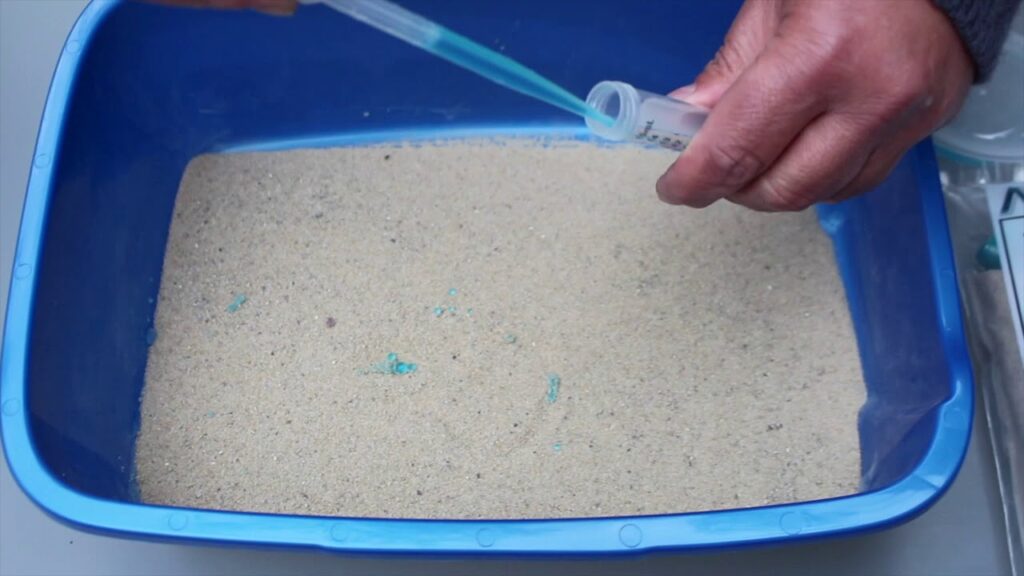 5 NonAbsorbent Cat Litters For Urine Sample Collection Kitty Devotees