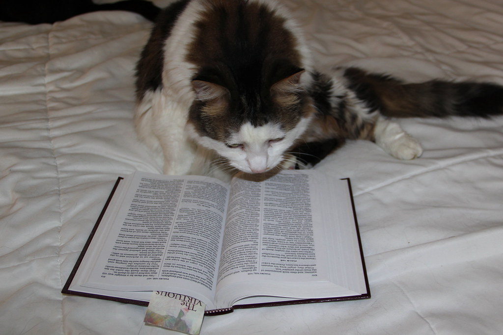 Are Cats Mentioned In The Bible?