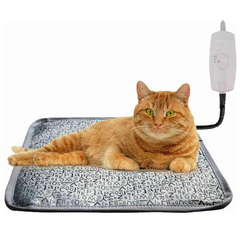 How Does A Heating Pad Help Bloating at Millard Ward blog