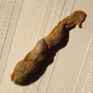 Cat Hairball Looks Like Poop: Should It Worry You? - Kitty Devotees