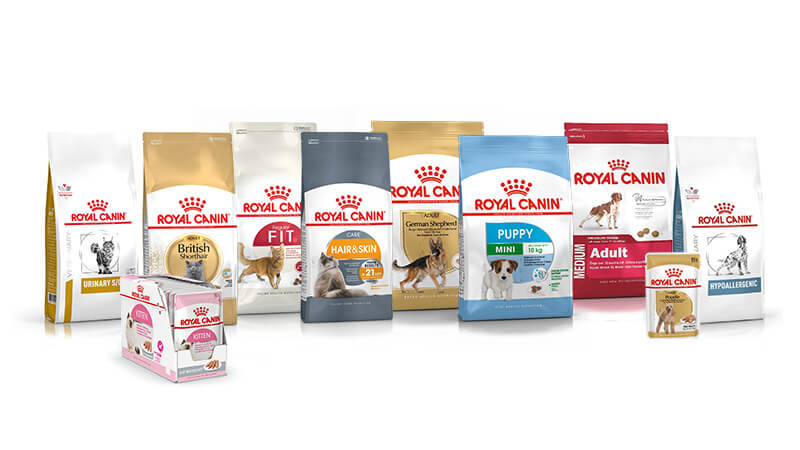 where-is-royal-canin-cat-food-made-kitty-devotees